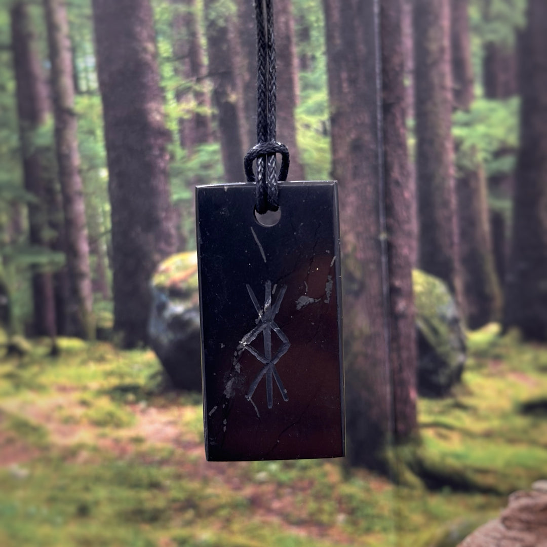 Shungite avec Sigil de Protection