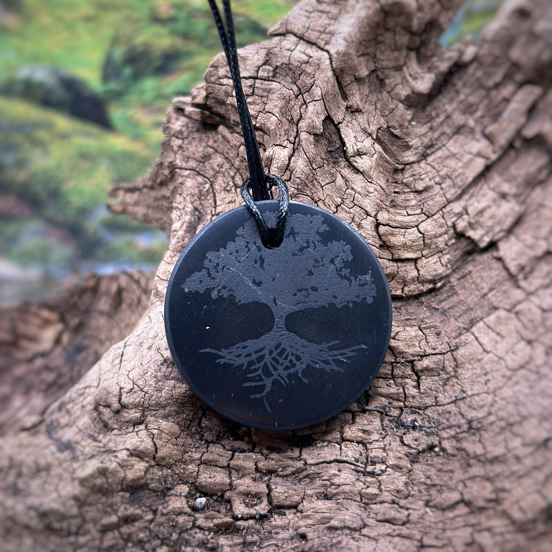 Shungite avec arbre de vie