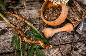 Plantes de purification